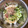 クックE2R3YU☆'s cooksnap of when they made 【居酒屋風】長芋と胡瓜の梅肉和えサラダ.