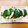 あやのしっぽ's cooksnap of when they made おからとえのきの青じそつくね.