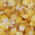 か—ちゃん's cooksnap of when they made 必見！とうもろこしの甘くなるゆで方.