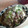 サーフブレイド's cooksnap of when they made ＊＊牛肉とレタスのさっぱり炒め＊＊.