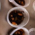 MManzsimsc's cooksnap of when they made 離乳食09ヶ月 大豆とひじき煮.