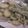 iroodoori's cooksnap of when they made アスパラとそら豆のフリット.