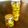 RYOSHUN's cooksnap of when they made ★木瓜(ボケ)酒.