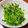 のんたんΣ's cooksnap of when they made 豆苗のナムル.
