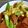 medias's cooksnap of when they made あと一品に!アスパラの卵炒め.