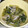 きむち03's cooksnap of when they made 妊婦に鉄分☆あさりと小松菜とえのきの梅煮.