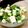 松潤だいすき's cooksnap of when they made 長芋とオクラの梅和え　カツオ風味.