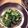 ゆぴー628's cooksnap of when they made 大根の葉の炒め物.