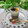 mielle's cooksnap of when they made 栗の甘露煮と餡子のプリン♪.