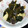 マダムユキ's cooksnap of when they made わかめときくらげのさっと炒め.