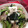 ＊憂菜＊'s cooksnap of when they made 簡単！牛肉と小松菜のおろしのっけ盛り.