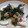 casa403's cooksnap of when they made ほうれん草とサバの炒め物.
