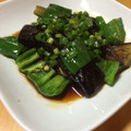 やんぐばあちゃん's cooksnap of when they made 家の揚げナス.