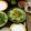 ゆっちょん1017's cooksnap of when they made 簡単一口素麺★おもてなしにバッチリ♪.