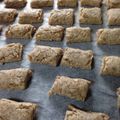 suzugumi's cooksnap of when they made シンプル簡単★基本の犬クッキー.