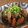 ゆみちんママ's cooksnap of when they made 牛スジ煮込み(どて焼き風).