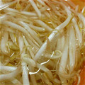 ぐろーばー's cooksnap of when they made もやしの保存.