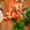 ちょこもん59's cooksnap of when they made 爽やか♪しめじの梅おろしあえ♪.