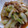 ＨＥＷＡ's cooksnap of when they made 白菜と豚のオイスター味噌炒め☆.