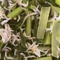 いちごっこ☆'s cooksnap of when they made シラスと小松菜の炒め物.