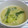 shokoyuki0105's cooksnap of when they made 超簡単^^♪青梗菜と帆立のクリーム煮.