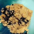 むつゴロー's cooksnap of when they made 基本のおからの煮物.