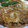 k_i's cooksnap of when they made 特価の豚肉で！定番 生姜焼き.