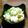リュウチェル's cooksnap of when they made 豚皮の煮込み.