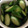 きすびえ's cooksnap of when they made ダシが効いた♡簡単！きゅうりの漬け物♡.