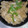 マロンナ＊'s cooksnap of when they made 大根おろしで　さっぱり炒め.