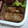 ひよじる's cooksnap of when they made 厚揚げのお肉巻き.