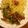 みょうなみょうが's cooksnap of when they made イワシとパスタのサルサ・クルダ.