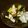 ガメコ's cooksnap of when they made 春キャベツと塩昆布の即席漬け　２０M.