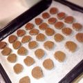にゃん汰１０４'s cooksnap of when they made シュガーココアクッキー.