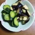 奏ノ音's cooksnap of when they made 簡単！旬野菜で自家製浅漬け♪.