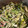 amgmkg's cooksnap of when they made 簡単あえるだけ♪ささみとひじきのサラダ.