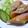 りーたみ's cooksnap of when they made ササミと鮭ポテトの春巻き.