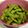 コハダちゃん's cooksnap of when they made 枝豆のゆで方.