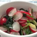 hacchiy's cooksnap of when they made ラデッシュのお漬物.