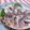 赤い電話's cooksnap of when they made シメさんま.