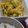 赤服の黄色いくま's cooksnap of when they made 旬のスナップエンドウとカボチャのサラダ.