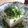 サーフブレイド's cooksnap of when they made 簡単ねぎ塩やっこ.
