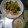 あっこぷぅ～♪'s cooksnap of when they made 我が家定番のほうれん草和え✿.