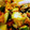 るどるふ0713's cooksnap of when they made きゅうりのわさび味噌和え.