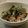 akico55555's cooksnap of when they made いんげんとツナの簡単！ゴマ和え.