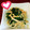 sakoまぁ's cooksnap of when they made にらとえのきのちゃちゃっと一品.