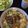 Goneho's cooksnap of when they made アボ納豆の卵マヨうどん.