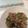 かおりんぱんだ's cooksnap of when they made 豚バラと水菜の生姜焼き.