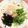 ☆ポコちゃん☆'s cooksnap of when they made すぐできる！薬味のせ冷やしうどん.