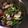 しみさ's cooksnap of when they made あさりといんげん豆のワイン蒸し.